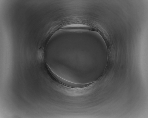 X0000112000035200908101331