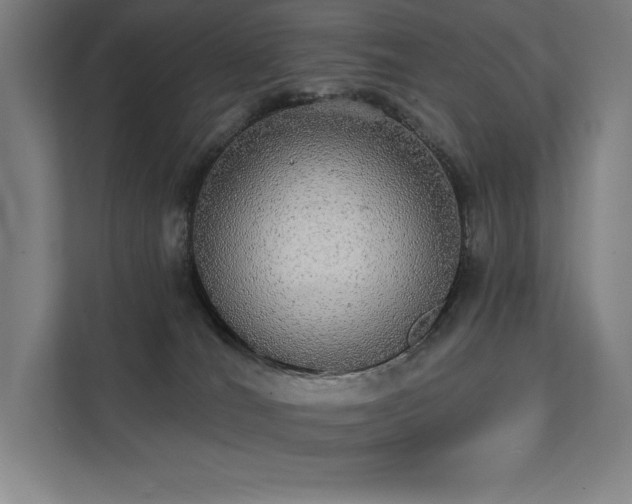 X0000112000036200908101331