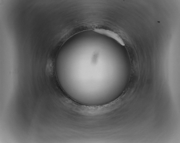 X0000112000037200908101331