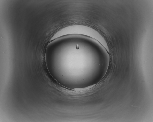 X0000112000039200908101331