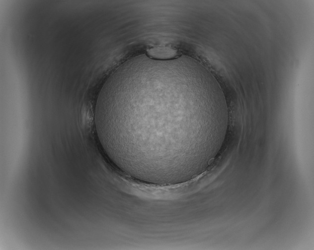 X0000112000040200908101331