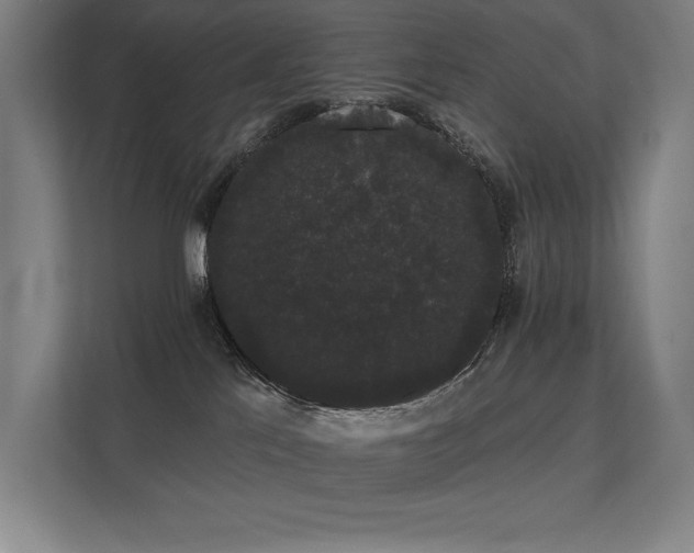 X0000112000041200908101331