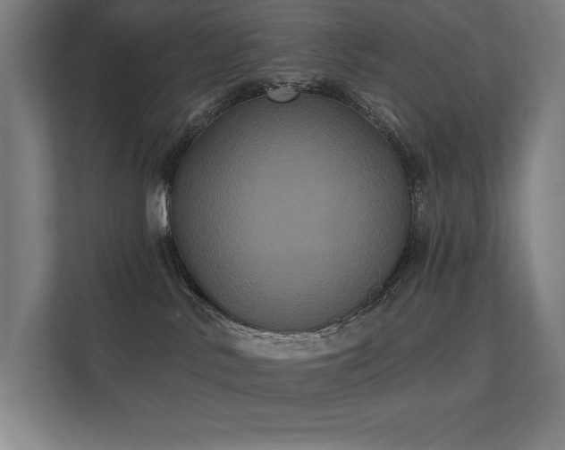 X0000112000042200908101331