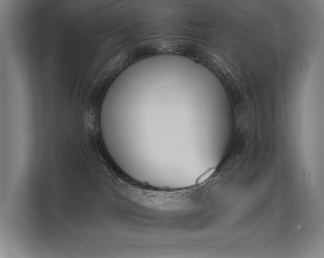 X0000112000044200908101331