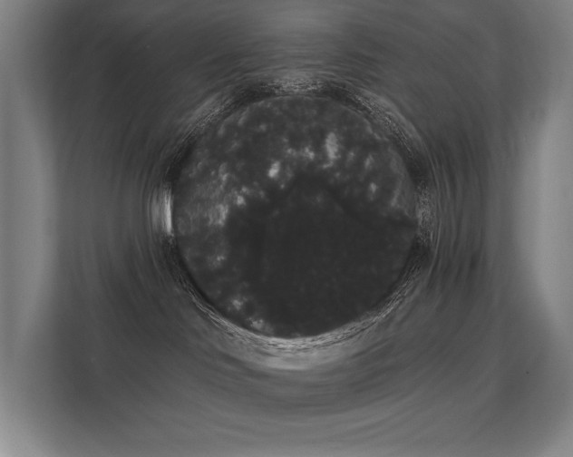 X0000112000046200908101331