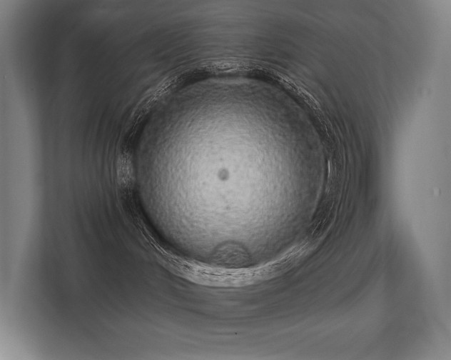 X0000112000048200908101331