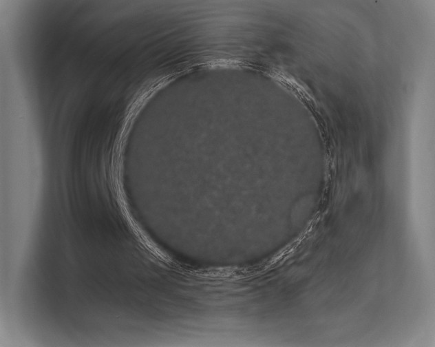 X0000112000049200908101330