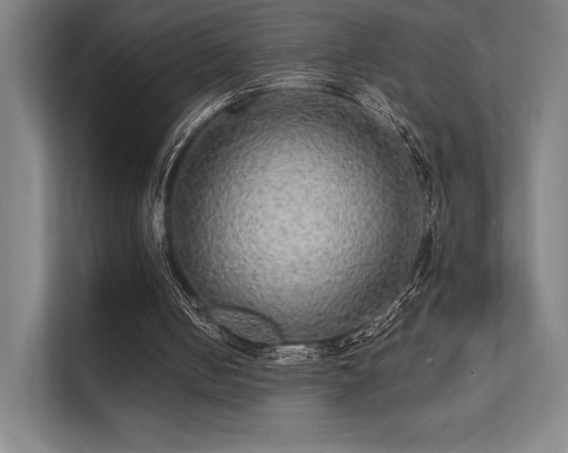 X0000112000050200908101330