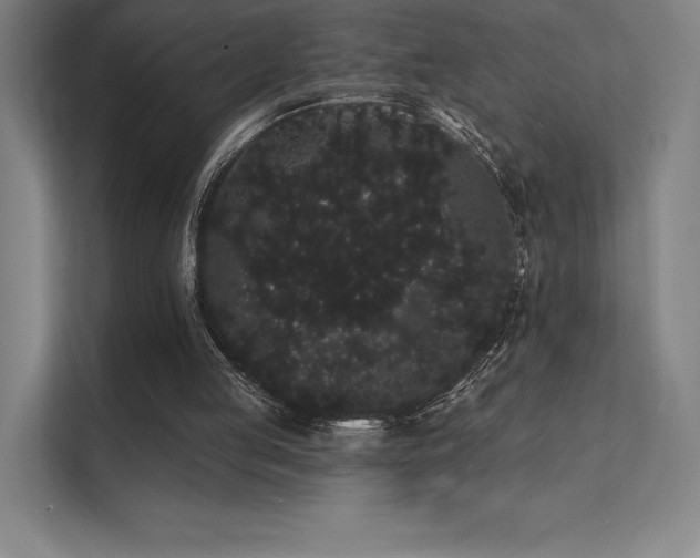 X0000112000053200908101330