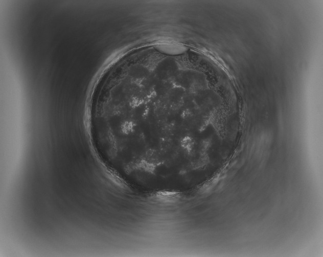 X0000112000055200908101330