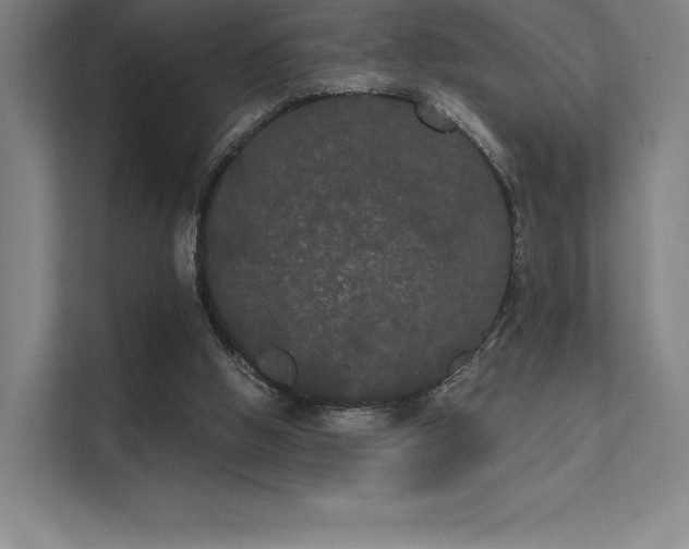 X0000112000058200908101330