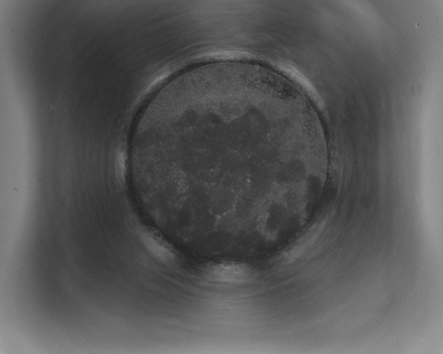 X0000112000063200908101330