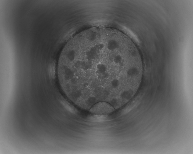 X0000112000065200908101330