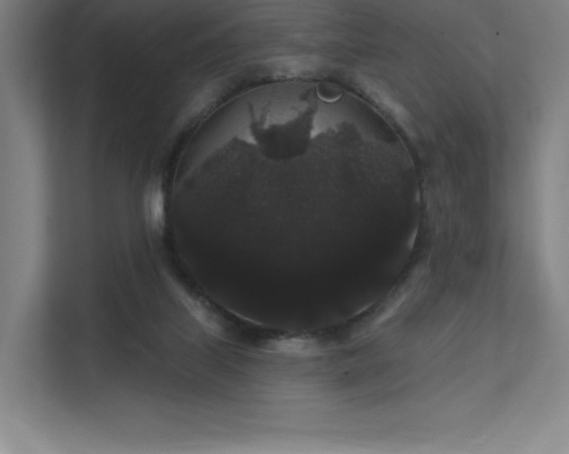 X0000112000067200908101330