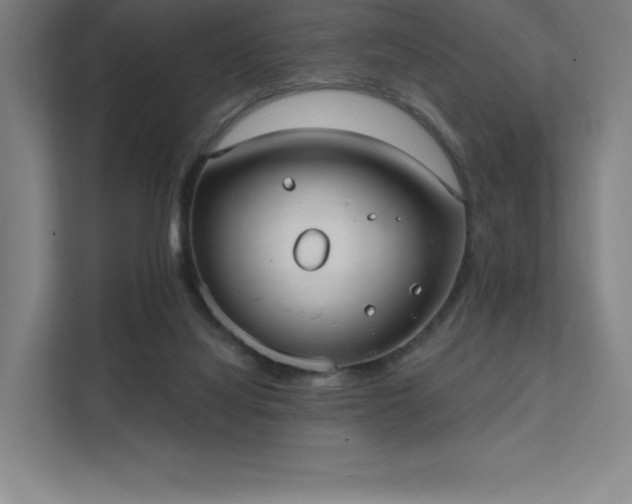 X0000112000068200908101330