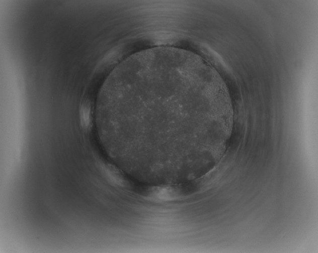 X0000112000074200908101330