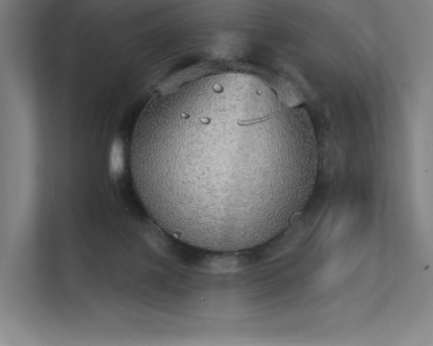 X0000112000075200908101330