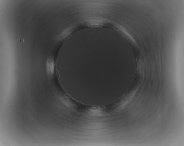 X0000112000076200908101330