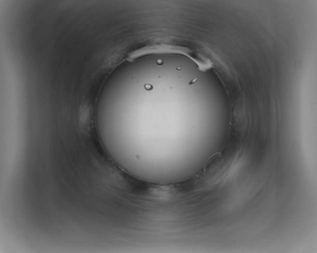 X0000112000079200908101330