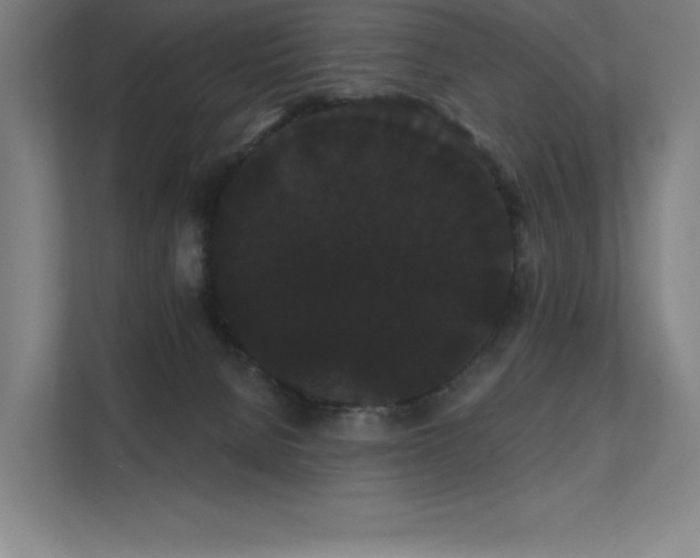 X0000112000080200908101330