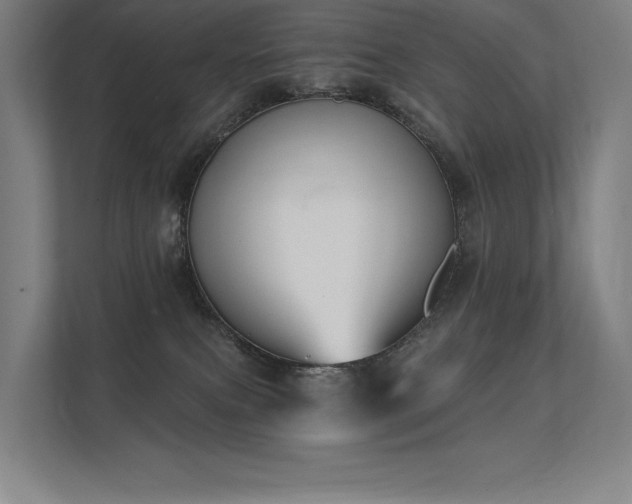 X0000112000087200908101330