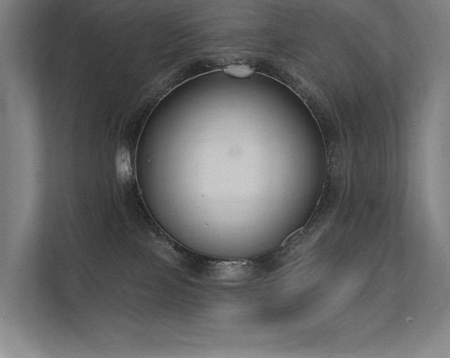 X0000112000089200908101330