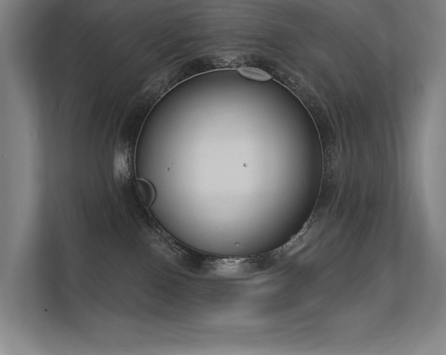 X0000112000090200908101330