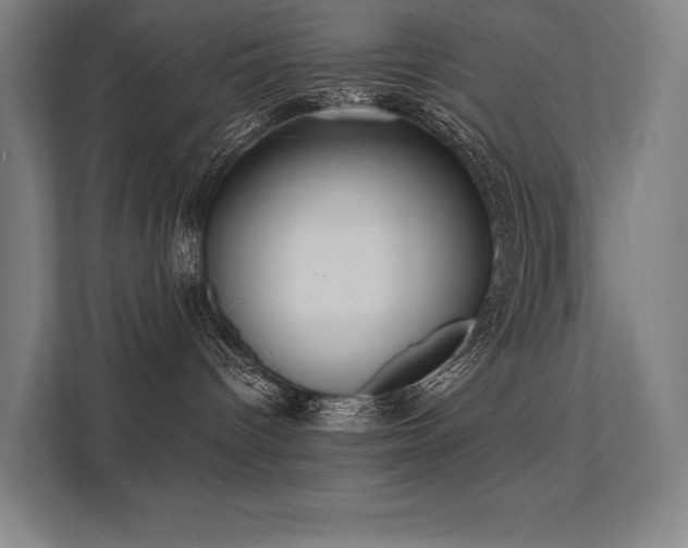 X0000112000096200908101331