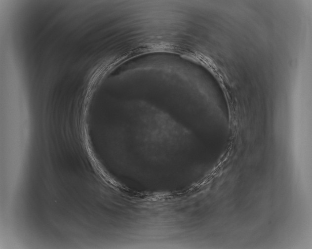 X0000112000097200908101330