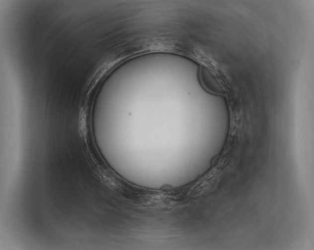 X0000112000098200908101330