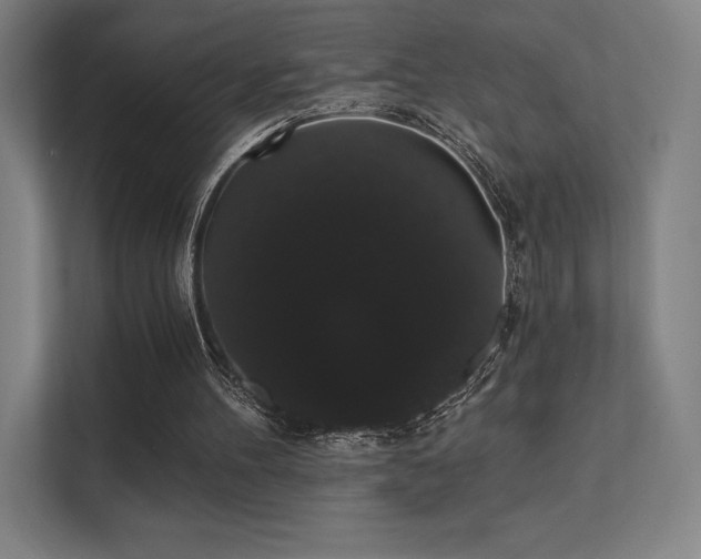 X0000112000100200908101330