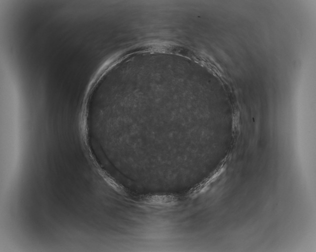 X0000112000101200908101330