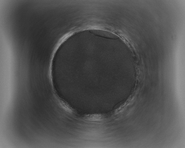 X0000112000104200908101330