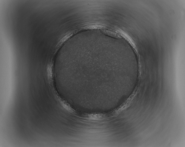 X0000112000105200908101330