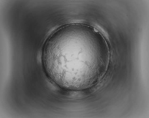 X0000112000107200908101330