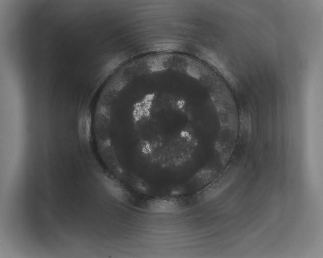 X0000112000110200908101330