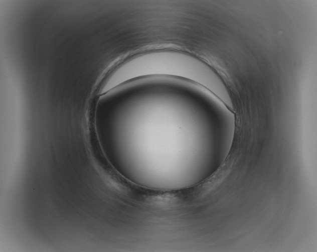 X0000112000112200908101330