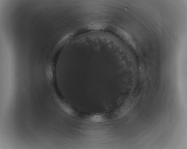 X0000112000114200908101330