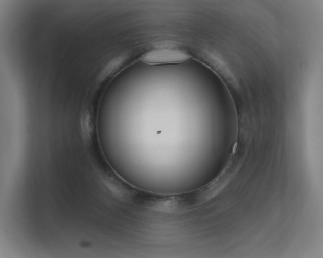 X0000112000116200908101330