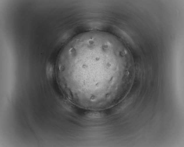 X0000112000123200908101330