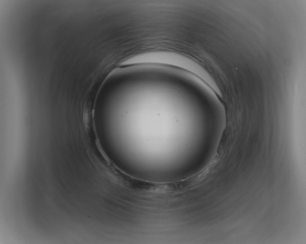 X0000112000124200908101330