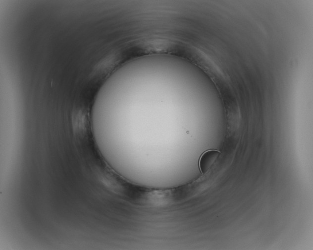 X0000112000126200908101330