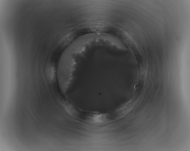 X0000112000130200908101329