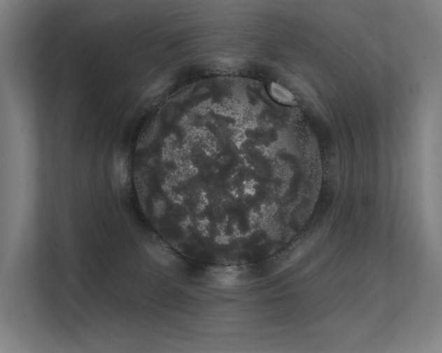 X0000112000131200908101329