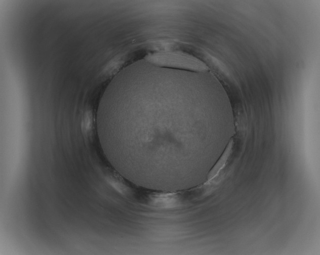 X0000112000132200908101329