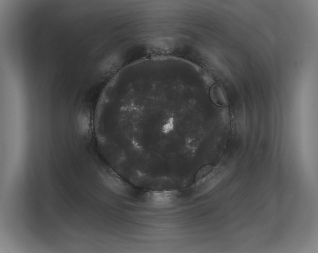 X0000112000134200908101329