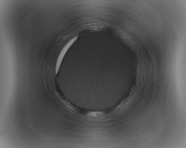 X0000112000137200908101329