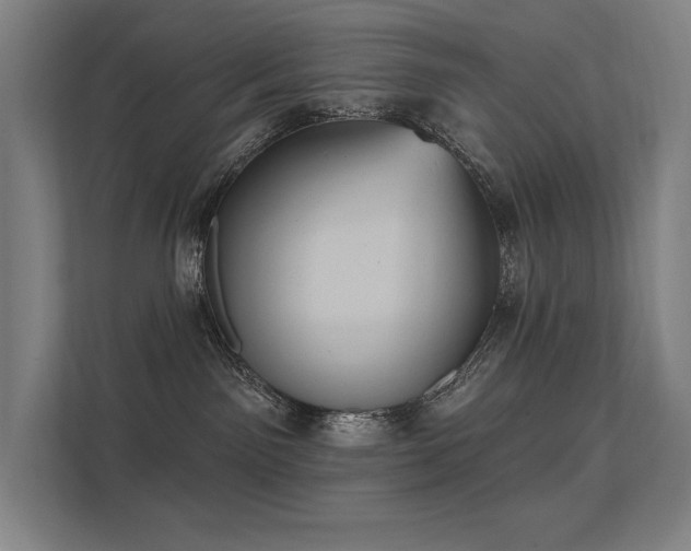 X0000112000141200908101329