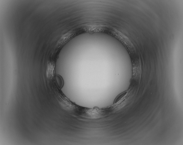 X0000112000142200908101329