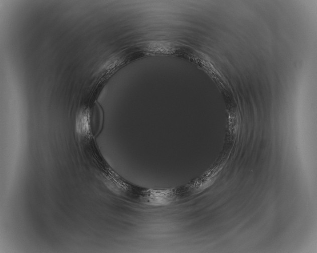 X0000112000143200908101329